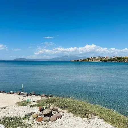 Denize Sifir-otantik Tas Ev Villa *